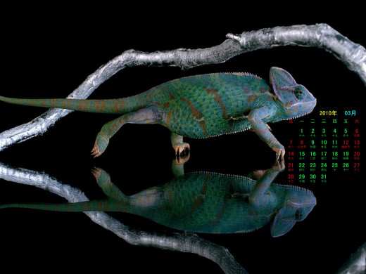 402240 (a): :1600x1200